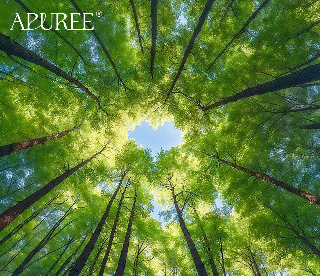 Nail Without Compromise: The Philosophy of Apuree