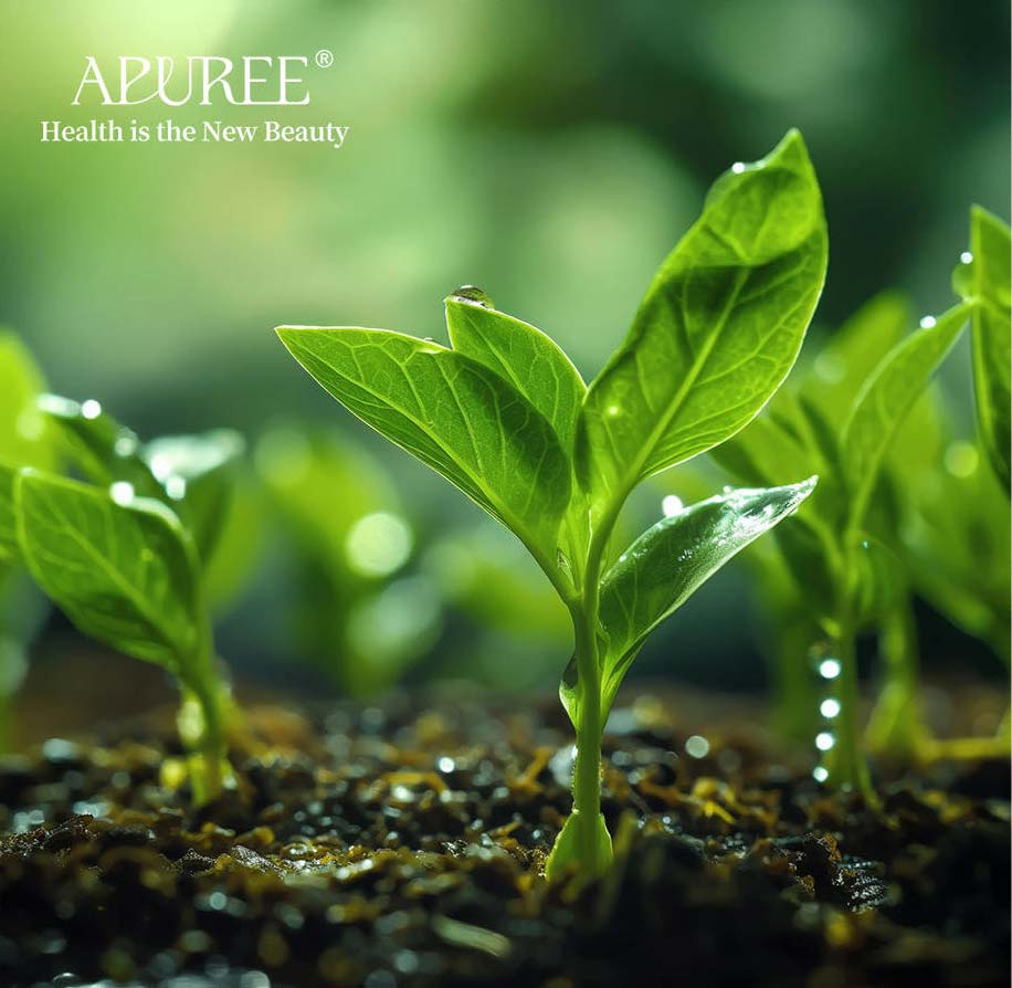 From Soil to Bottle: Our Pledge for a More Sustainable Manicure