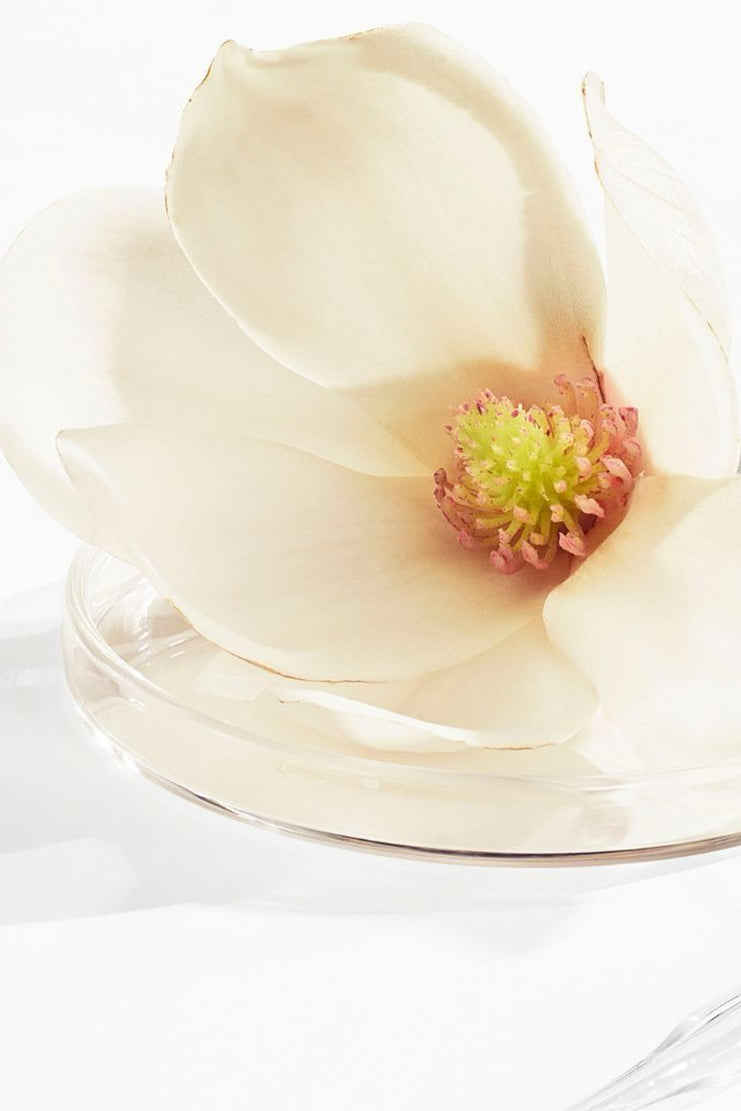 Botanical ingredient symbolizing Apuree lab-developed nail care science