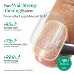 Apuree Pure3 nail strengthening system close-up, nail structure repair illustration showing improved nail strength and protection layers