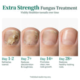 Apuree toenail fungus treatment progress timeline overnight repair visible nail recovery stages