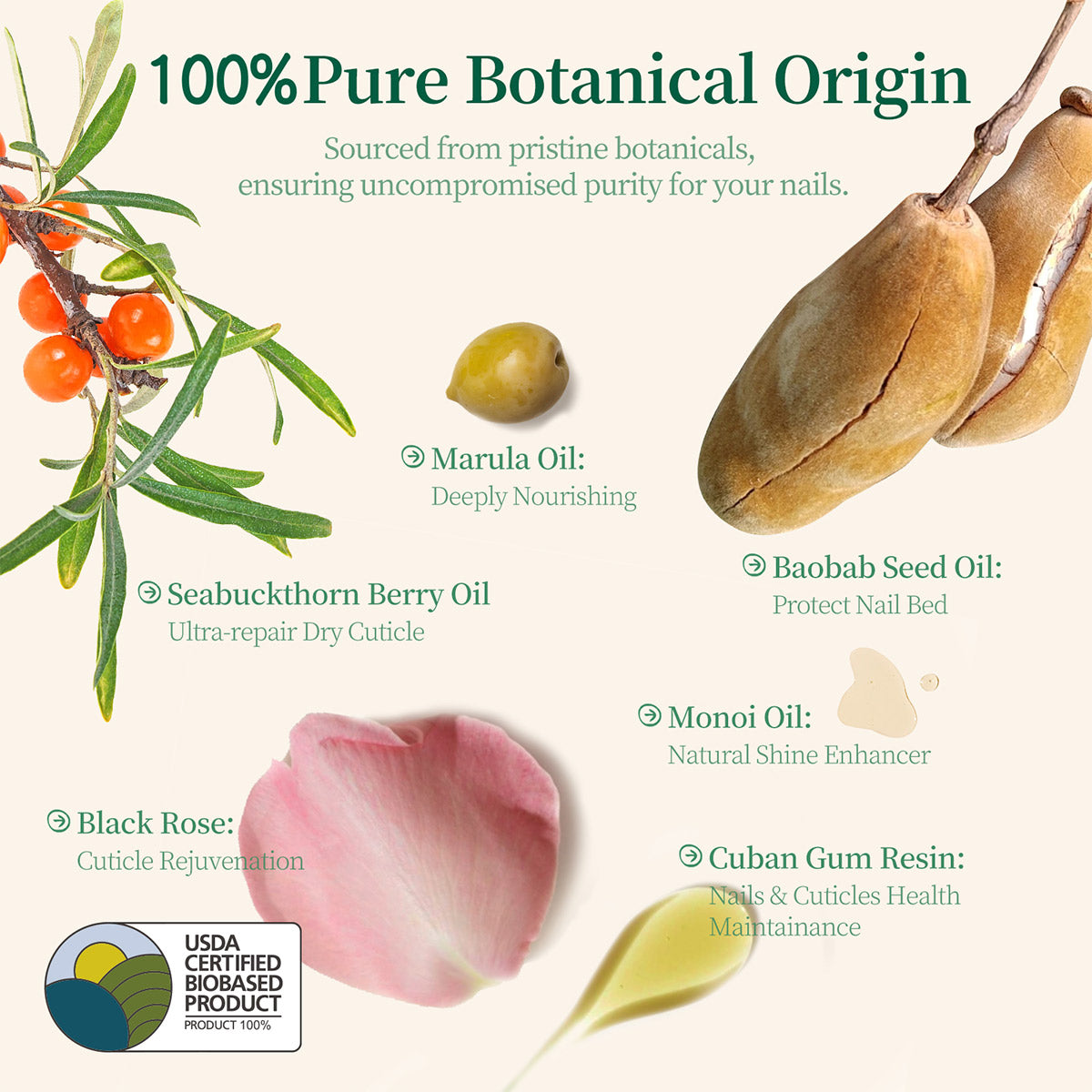 Apuree 100% Pure Botanical Origin